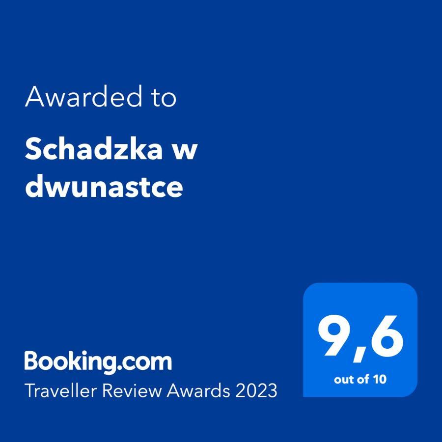 Schadzka W Dwunastce Z Widokiem Na Jezioro Borsk Extérieur photo